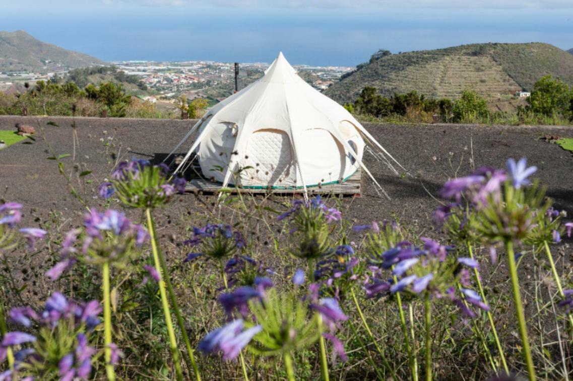 Free Canari - Los Alamos 8 Hotel Tegueste Eksteriør billede